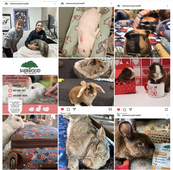 ÀνºÅ¸´õº¸±â